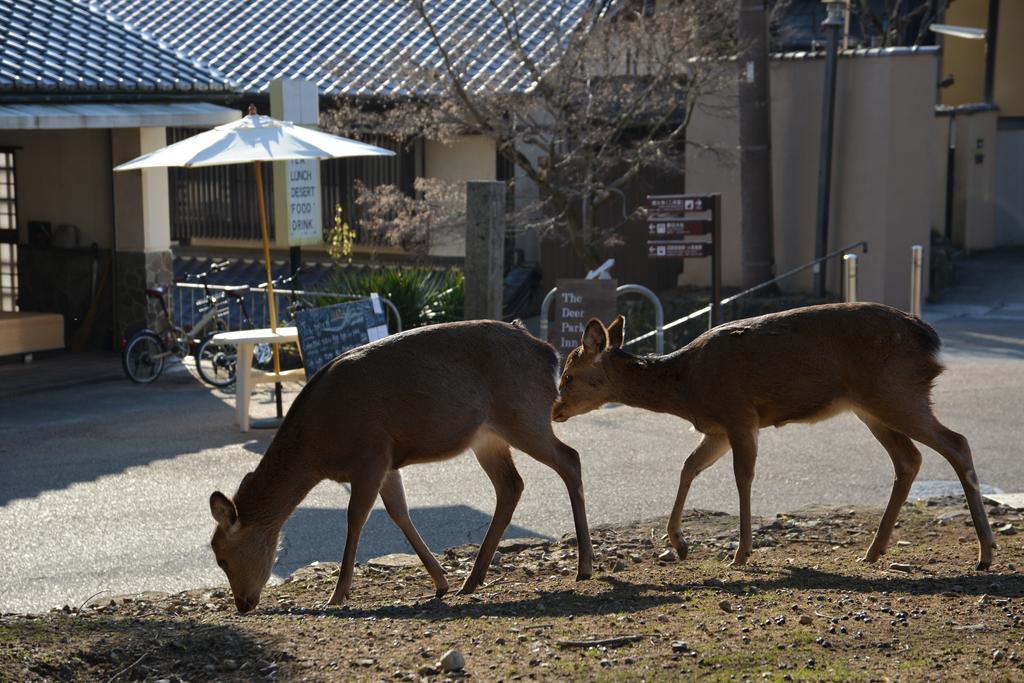 The Deer Park Inn Нара Экстерьер фото